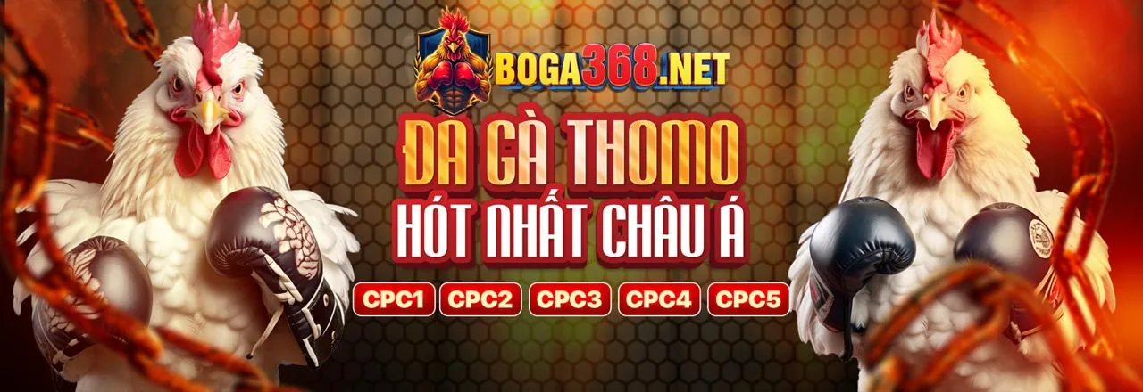 Bàn chơi Tài Xỉu online với các lựa chọn đặt cược